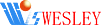 Weilisheng (Wesley) Biotech
