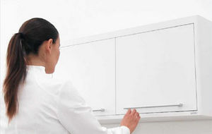 armadio contenitore / per strumenti odontoiatrici / con ante battenti / a muro