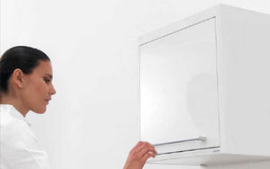 armadio contenitore / per strumenti odontoiatrici / con sportello / a muro