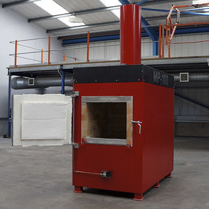 inceneritore crematorio / di sterilizzazione / da laboratorio / batteriologico