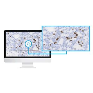 modulo software di analisi delle immagini / per laboratorio di istopatologia / di imaging cellulare
