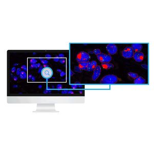 modulo software di analisi delle immagini / per laboratorio di istopatologia / FISH / CISH