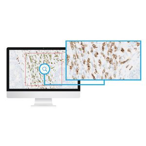 modulo software di analisi delle immagini / per laboratorio di istopatologia / per immunoistochimica / per immunofluorescenza