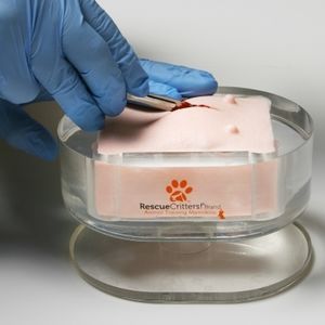 simulatore per ovarioisterectomia / pad
