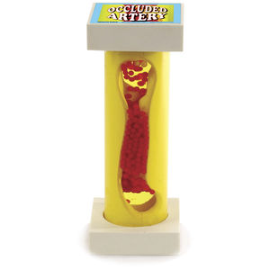 modello anatomico arteria / di dimostrazione