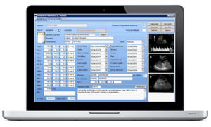 software di gestione dati dei pazienti / per reportistica / con sistema di tracciatura / ginecologia
