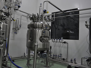 Bioreattore Da Laboratorio 222 KNIK CO LTD Per Fermentazione