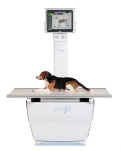 sistema di radiografia veterinaria / digitale / tavolo