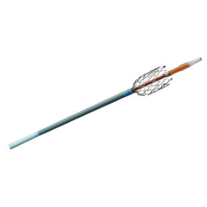 stent periferico / autoespandibile