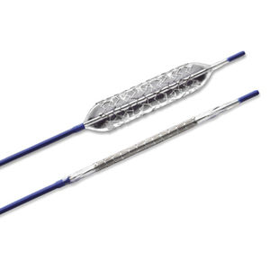 stent biliare