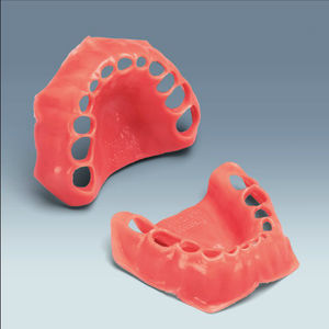 modello anatomico gengivale / di dentatura / ad uso didattico