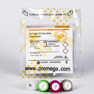 reagenti DNA polimerasi / PCR