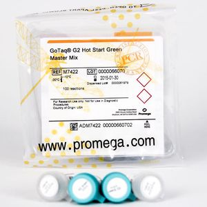 reagenti DNA polimerasi / PCR