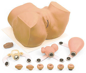 manichino didattico per cure ginecologiche / pelvi