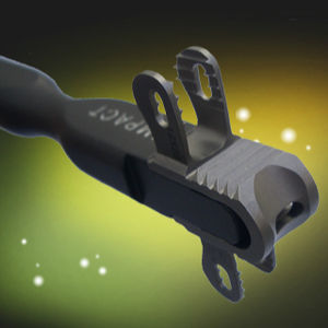 impianto vertebrale interspinale sacrale