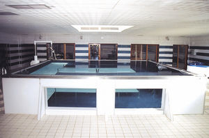 piscina per riabilitazione fuori terra