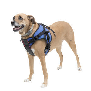 imbracatura per deambulazione / per sollevatore / per cani