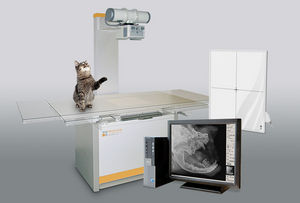 sistema di radiografia veterinaria / digitale / tavolo