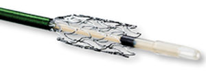 stent periferico / autoespandibile