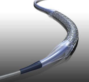 stent arteria renale / in cobalto-cromo