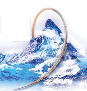 stent coronarico / a rilascio di farmaci