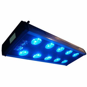 lampada di fototerapia neonatale / con rotelle / LED blu