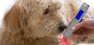 laser per agopuntura veterinaria / a diodo / palmare