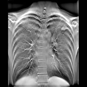 software di acquisizione / per diagnostica per immagini / automatizzato