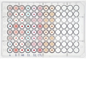 reagenti per determinazione dei gruppi sanguigni / anticorpi / per antigene A / per antigene D