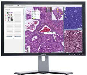 software di gestione / per laboratorio di istopatologia / per microscopia virtuale