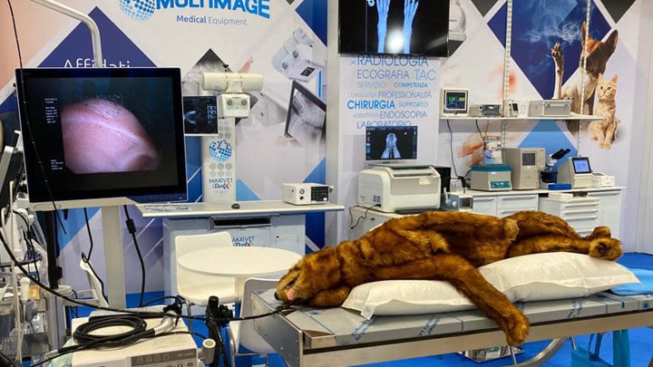 COMES ELECTRO SRL Photo 6