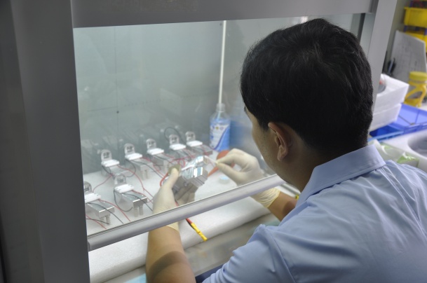 Beijing Stelle Laser Technology Photo 2