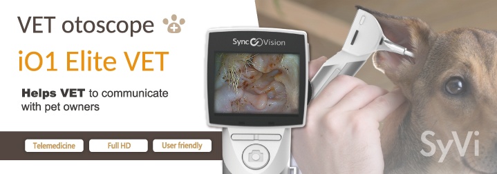 SyncVision Technology Photo 7