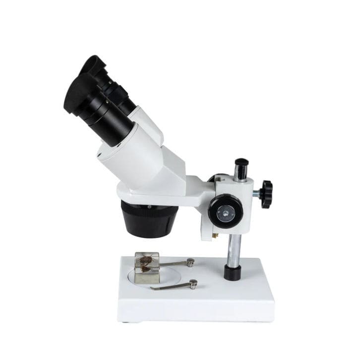 Lente Stereo Per Elettronica Monete Microscopio Stereo Binoculare AmScope 20X-40X - Per Ispezione Di Piccoli Oggetti, Come Monete, Elettronica, Rocce Oscilloscopio Palmare