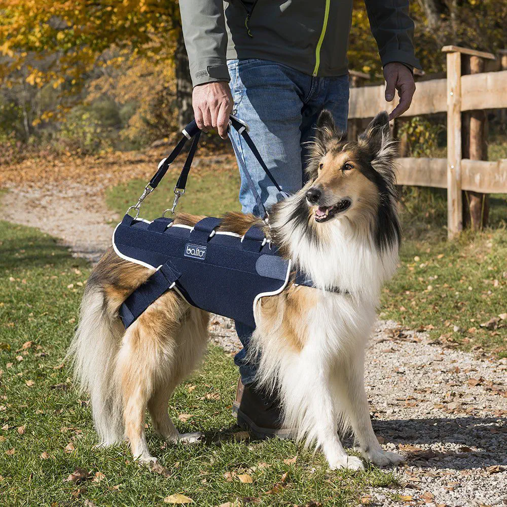 Imbracatura Di Supporto Per Cani Disabili O Anziani - In Peluche Morbido, Regolabile, Per Riabilitazione E Passeggiate Imbracatura Di Supporto Per Cani Disabili O Anziani - In Peluche Morbido, Regolabile, Per Riabilitazione E Passeggiate