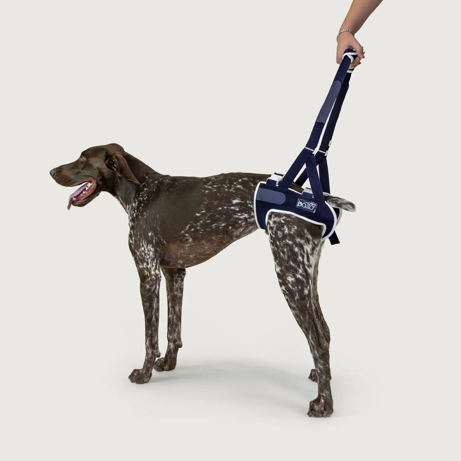 Imbracatura Sollevamento Cani,Bracciale Regolabile Manico