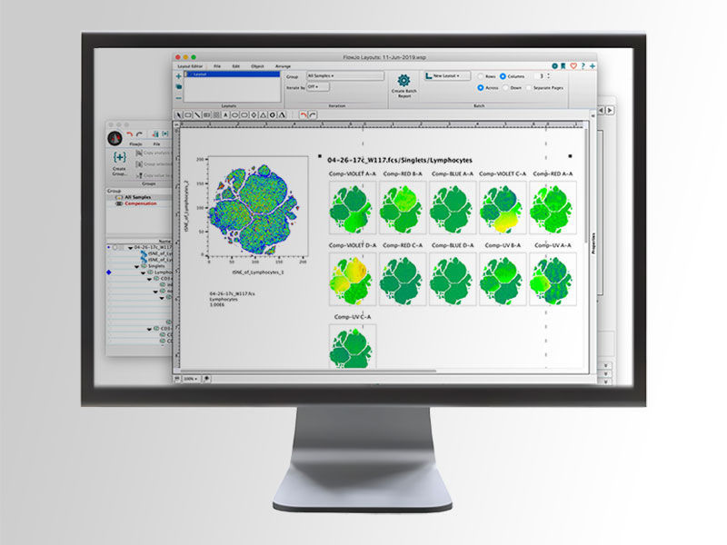 Software medico - FlowJo™ v10 - BD - di analisi / di rilevamento