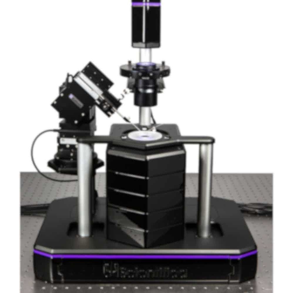 EXPLORA Microscopio Ottico Per Bambini – Kit Scientifico Da 10 Pezzi – Biologia E Cellule – Gioco Educativo Dai 6 Anni