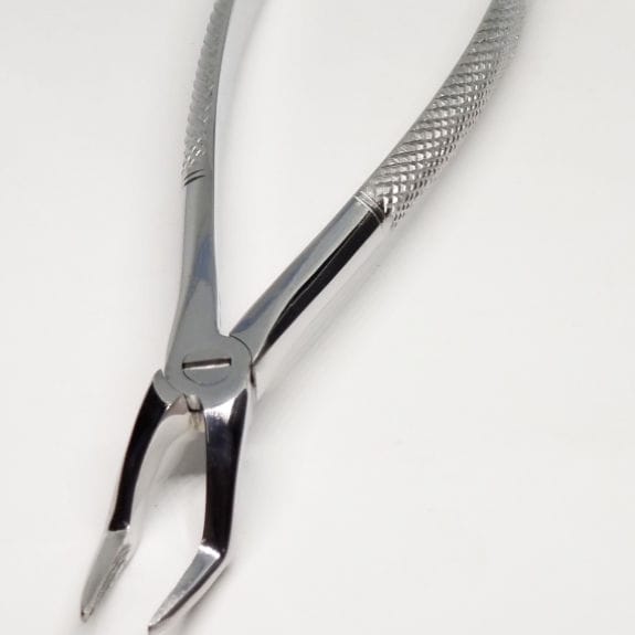 Pinza per estrazione denti per radici dentali - 1208-1116 - New Pinza per estrazione denti per radici dentali - 1208-1116 - New