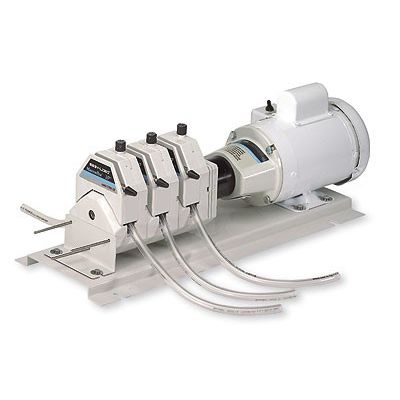 Pompa Peristaltica Risegun G528 12V - Mini Pompa Laboratorio Per Liquidi, Bioingegneria, Fai Da Te