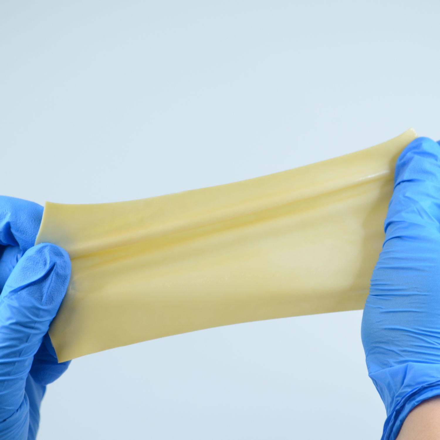 Matrice tissutale chirurgia ortopedica Invengenx® Tisgenx