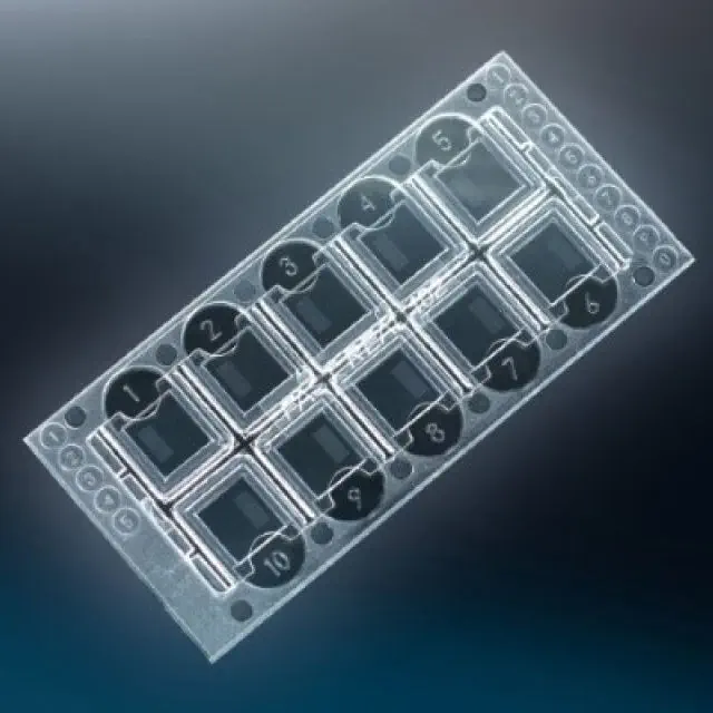 Strumenti Odontoiatrici Sterili Punti Di Carta Assorbente Sterile META BIOMED Con Conicità 0.04 - Per Endodonzia E Odontoiatria (100 Pezzi Per Scatola) Punti Carta Sterile Cono 0.04 - Foto 2