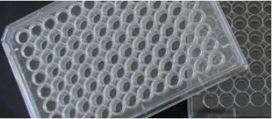 Greiner Bio-One 384-well Small Volume HiBase Polystyrene Microplates Black Buy O Greiner Bio-One 384-well Small Volume HiBase Polystyrene Microplates Black Buy O