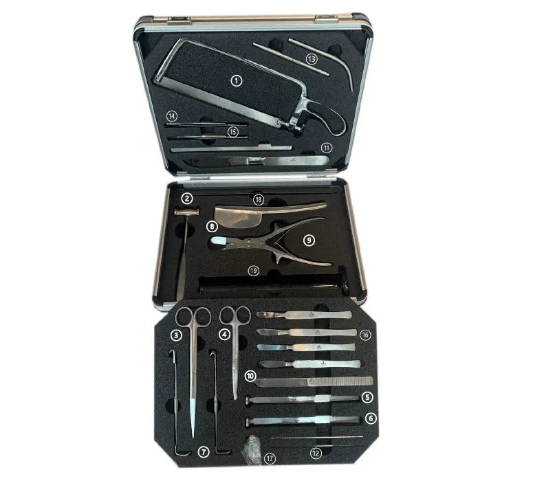 Strumenti medici chirurgici a doppia estremà per lime ossee dentali Strumenti medici chirurgici a doppia estremà per lime ossee dentali