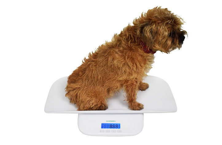 Bilancia Digitale Da Cucina 800g/1g: Elettronica Portatile Con Ciotola Rimovibile, Per Alimenti E Pet
