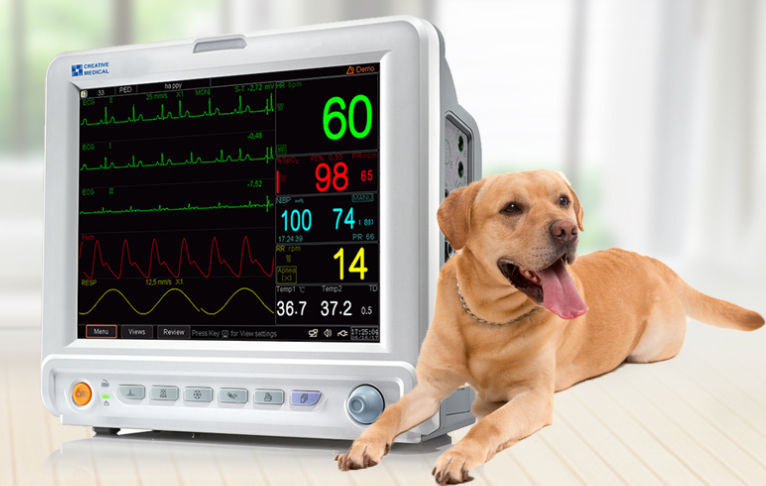 Saturimetro Da Dito Creative Medical PC-60A – Display LCD Grande, Compatto - Foto 2