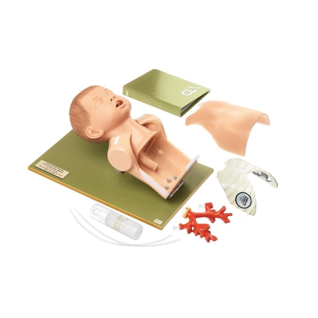 Manichino Per Intubazione Neonatale – Modello Didattico Per Addestramento Medico - 5