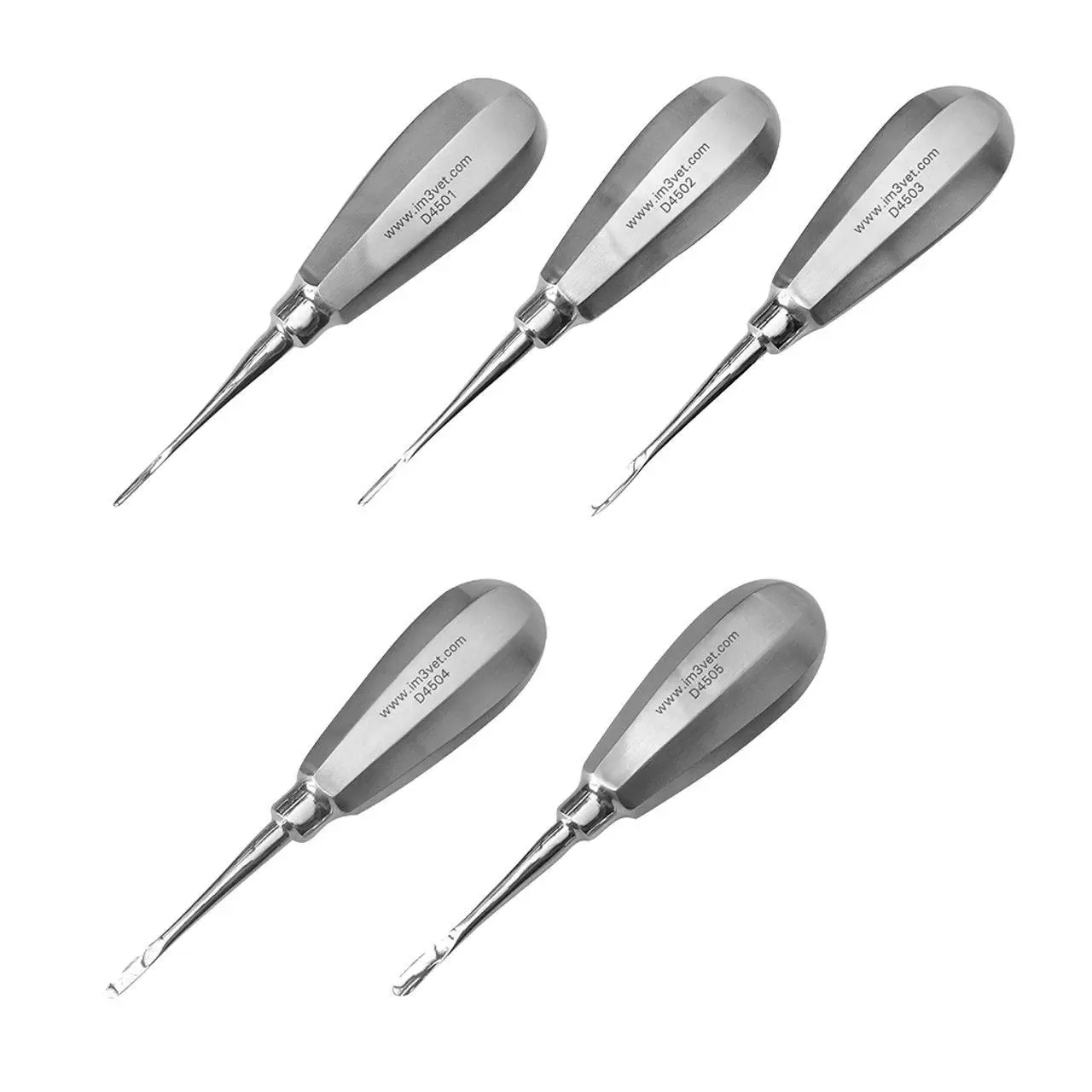 Dentistico Alato Ascensore Set Di 6 Veterinario Lussazione Strumenti - Foto 8