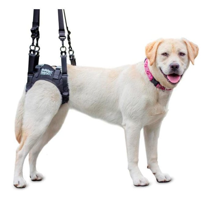 Imbracatura per Cani Trixie New Premium Rosso XS/S