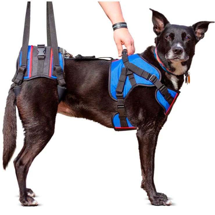 Imbracatura Sollevamento Cani - Gilet Per Cani Anziani O Disabili, Tessuto Oxford, Taglie S-XL - Foto 8